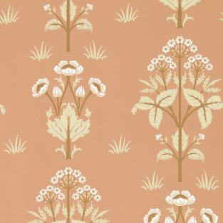 Meadow Sweet