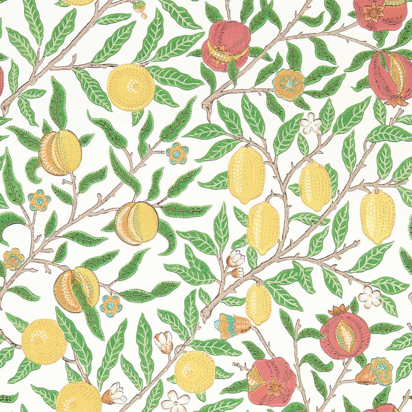 Fruit