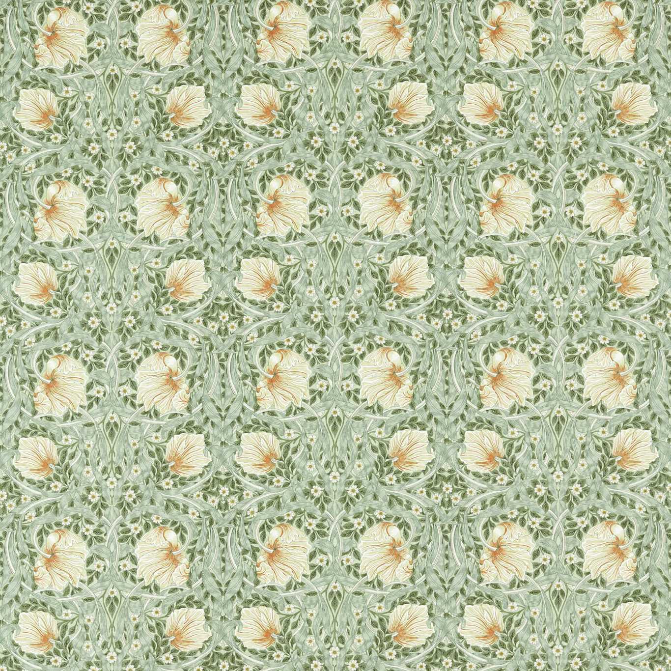 Pimpernel