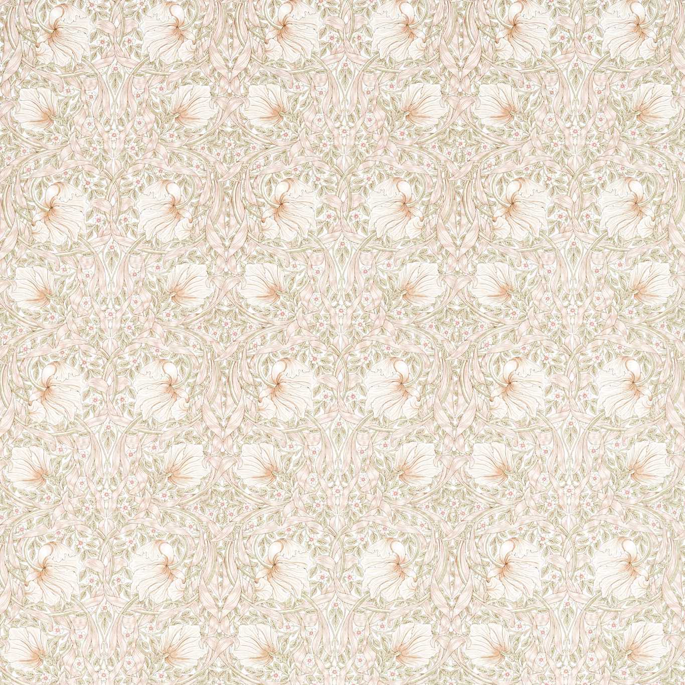 Pimpernel