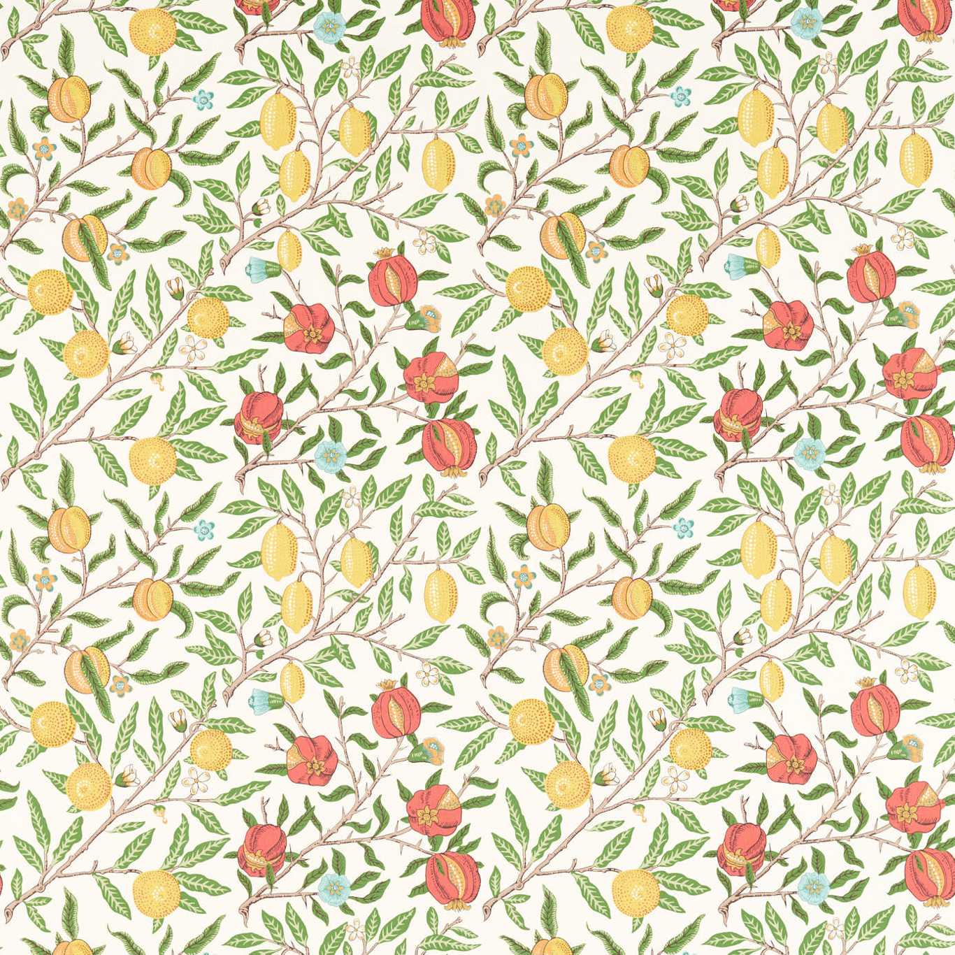 Fruit