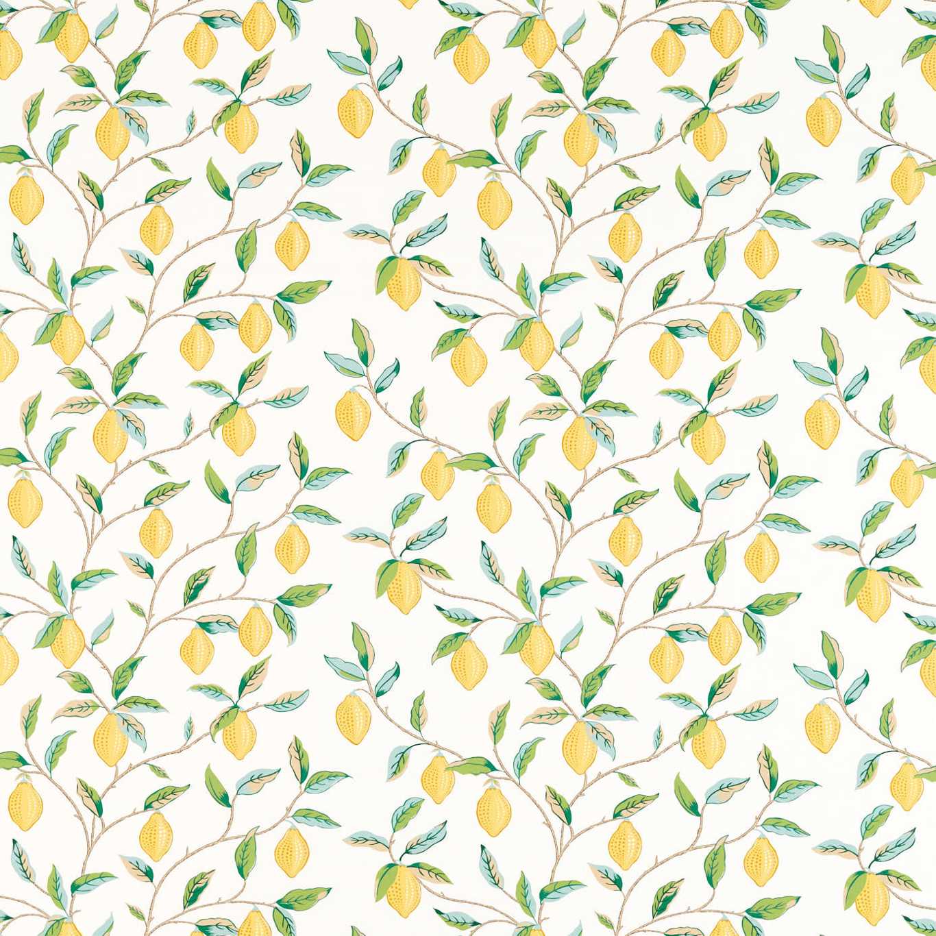 Lemon Tree
