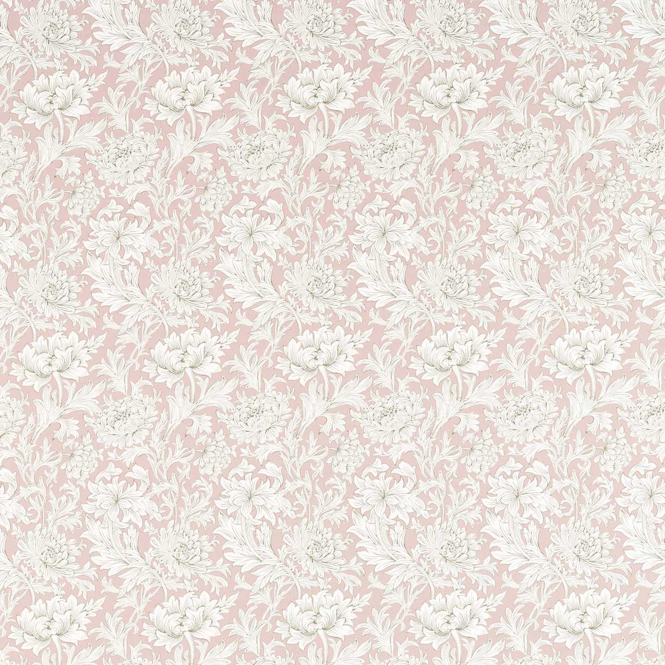 Chrysantemum Toile