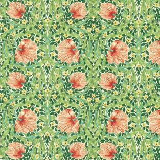 Pimpernel