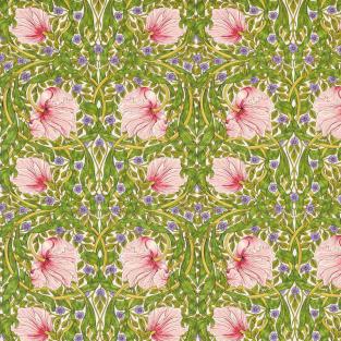 Pimpernel