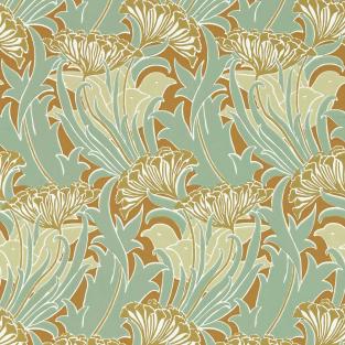 Laceflower