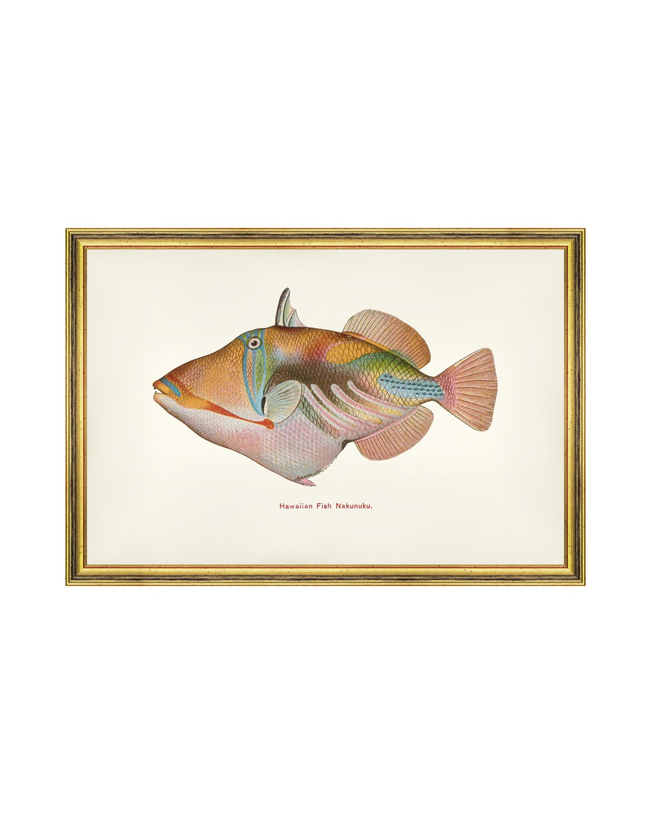 images/productimages/small/nakunuku-fish-60x40cm-glass-size-rama-2490-00.jpg