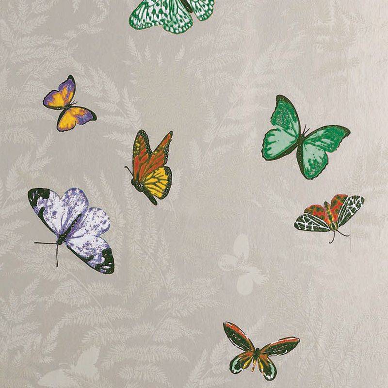 Farfalla