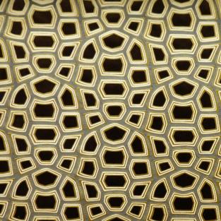 Carapace