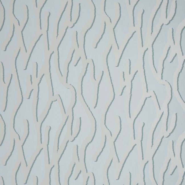 Pacific Coral