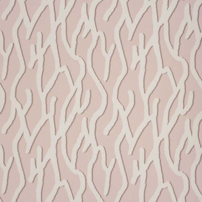 Pacific Coral