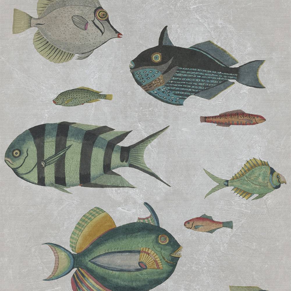 images/productimages/small/poissons-grey.jpg