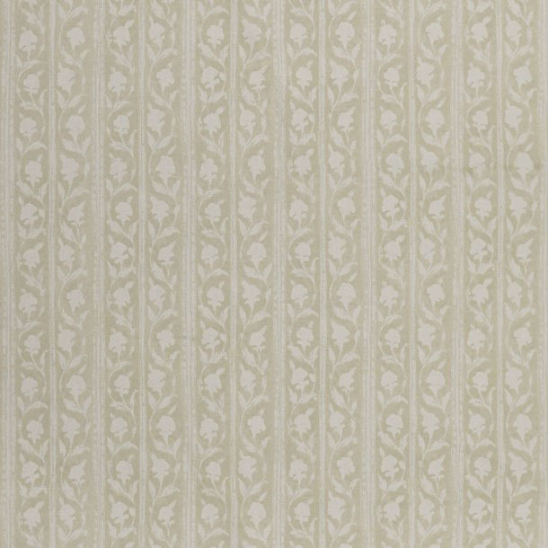 Jasmine Stripe