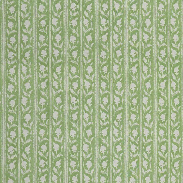 Jasmine Stripe
