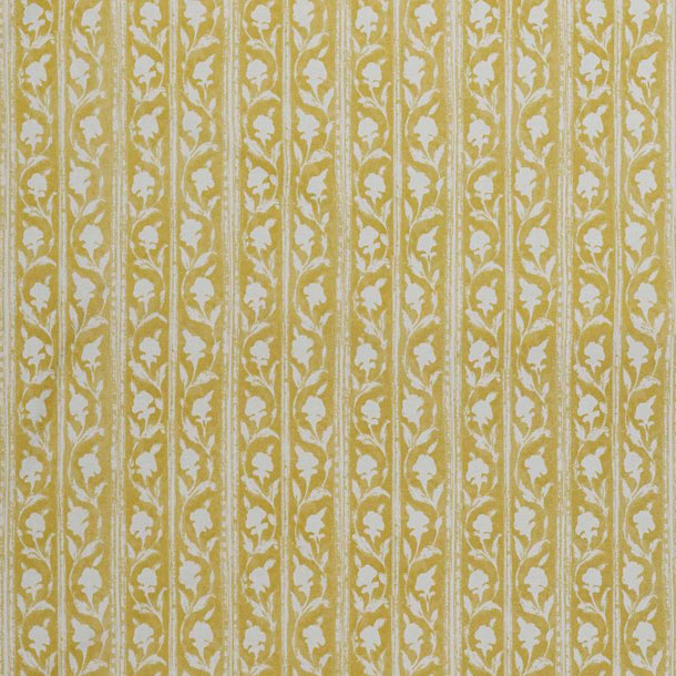 Jasmine Stripe