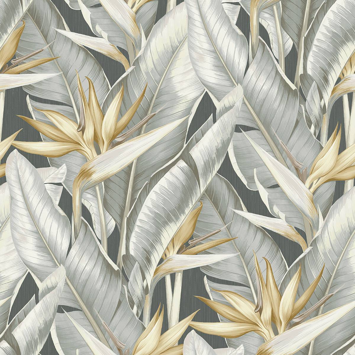 Birds of Paradise