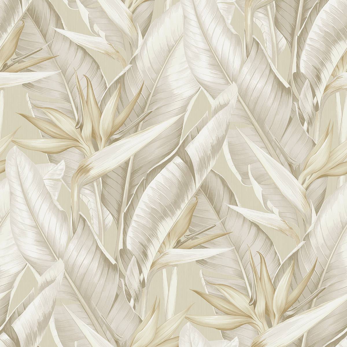 Birds of Paradise