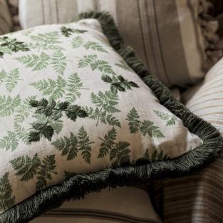 Alice's Fern