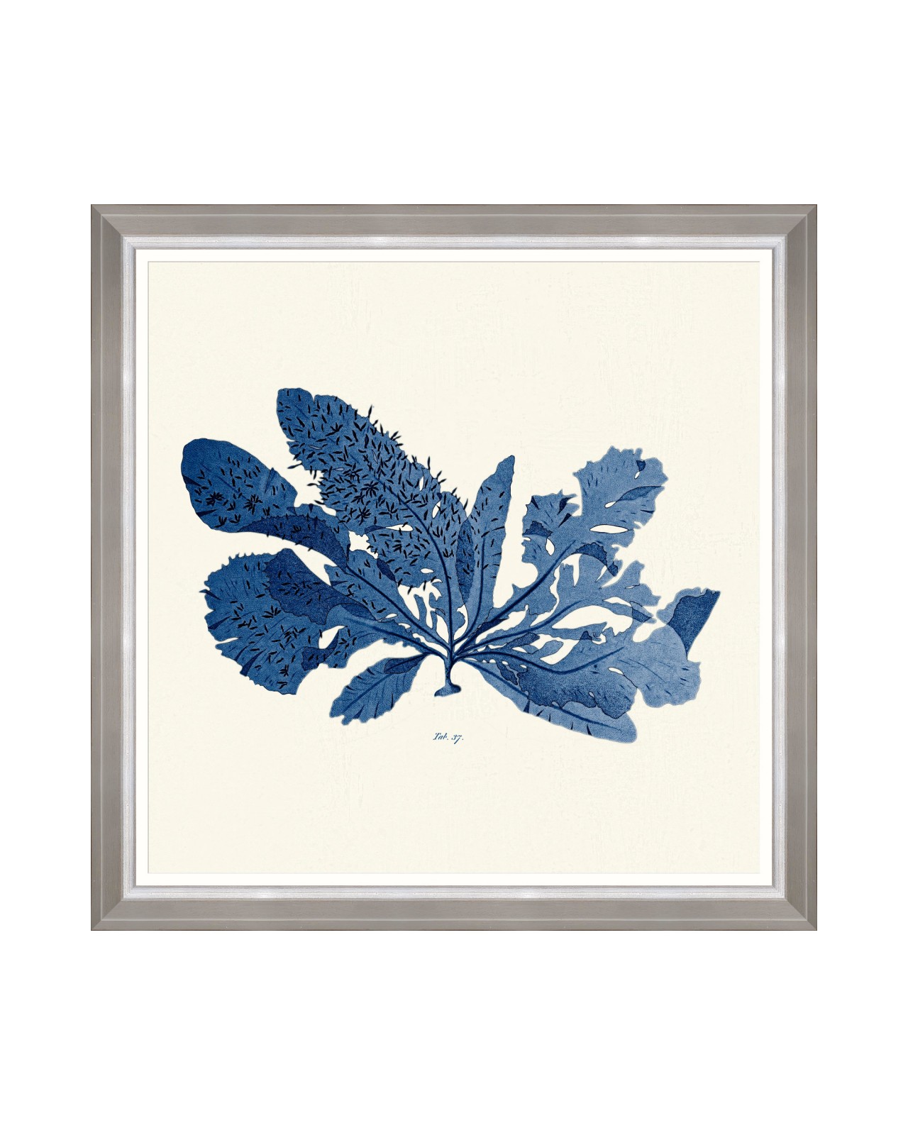images/productimages/small/seaweed-indigo-i-framed-art-70x70cm-fa13314.jpg
