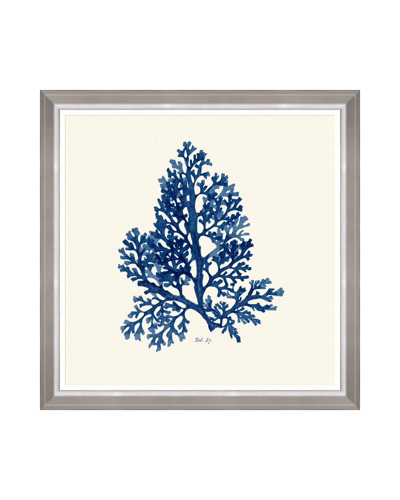 images/productimages/small/seaweed-indigo-ii-framed-art-70x70cm-fa13315.jpg