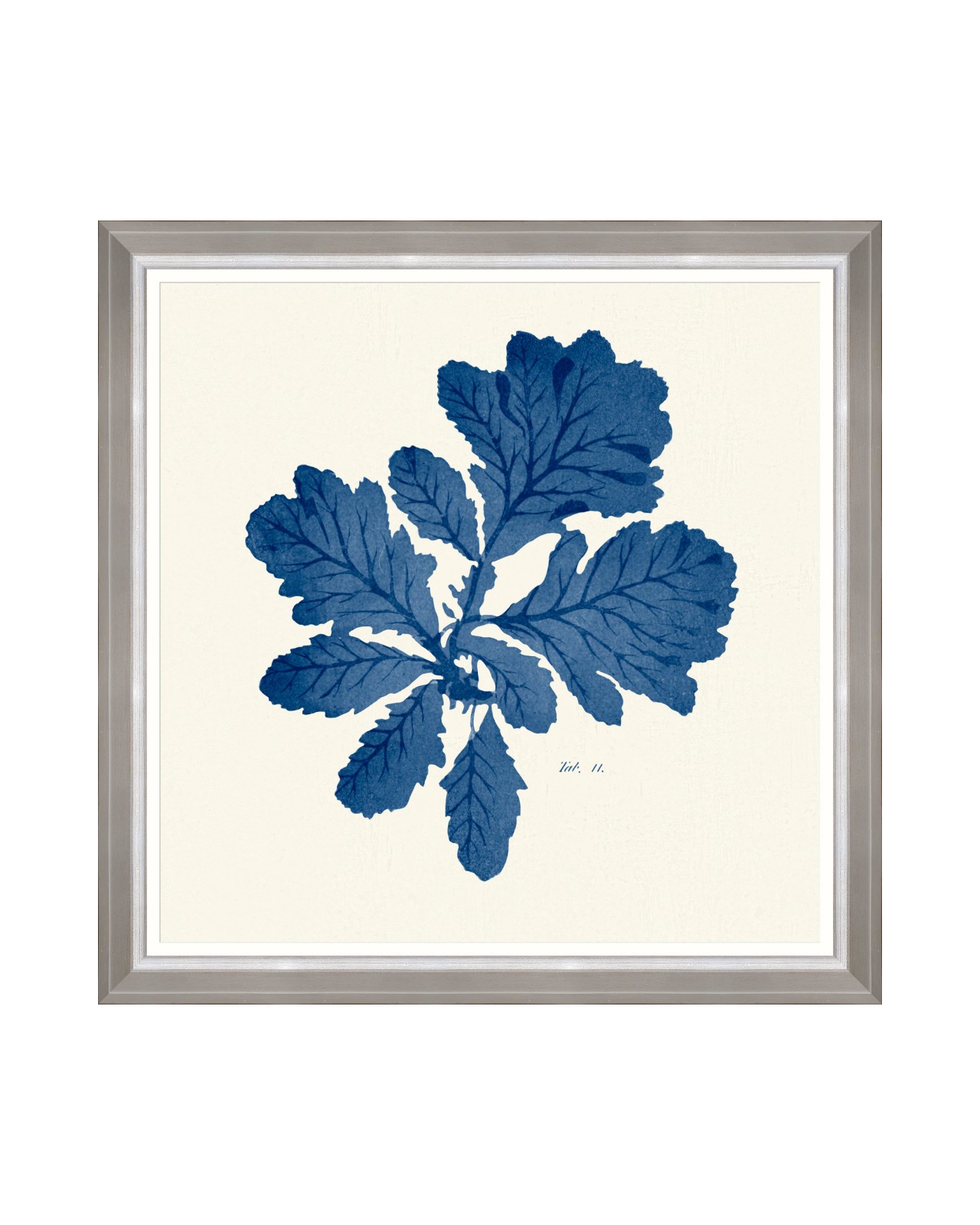 images/productimages/small/seaweed-indigo-iii-framed-art-70x70cm-fa13316.jpg