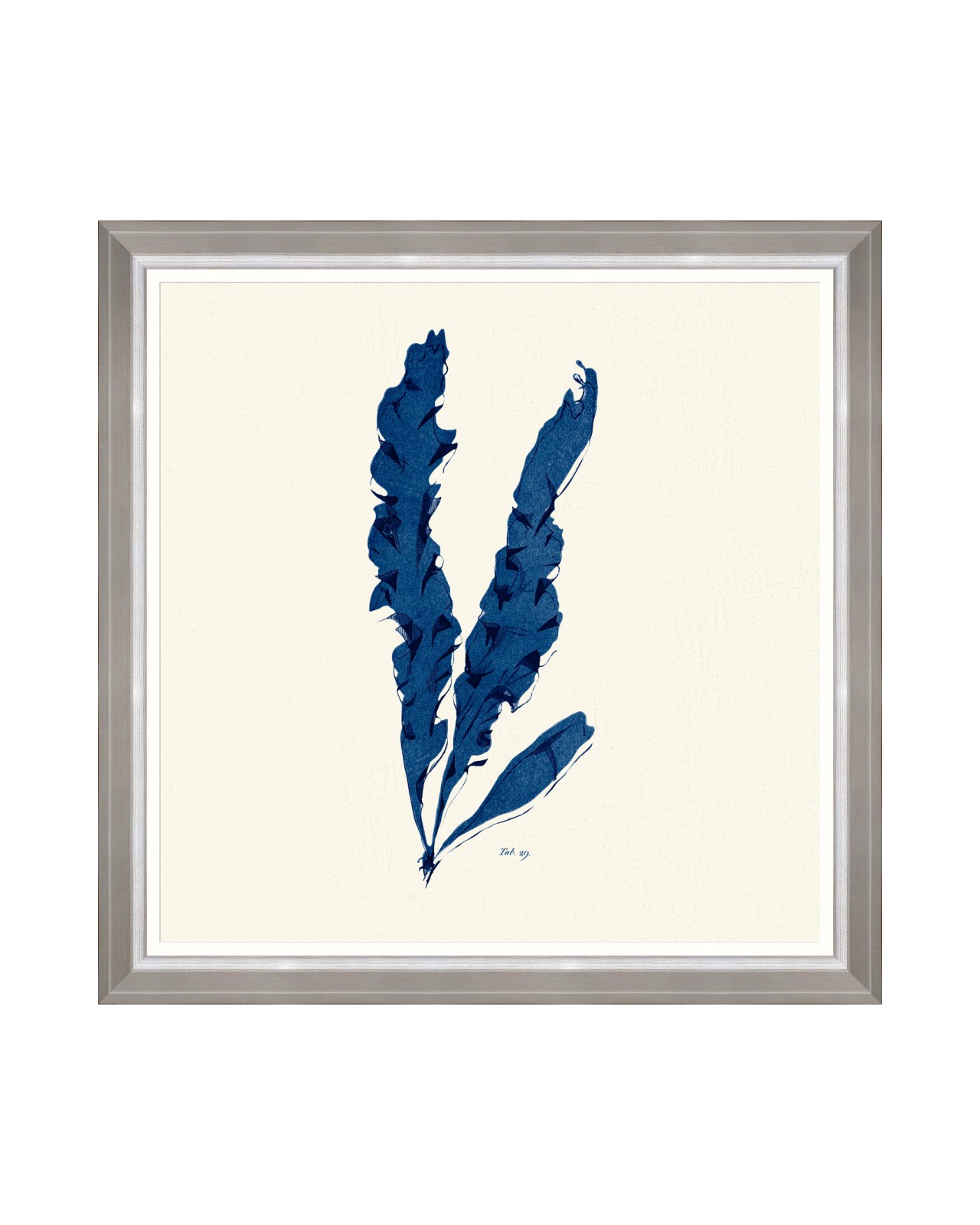 images/productimages/small/seaweed-indigo-iv-framed-art-70x70cm-fa13317.jpg