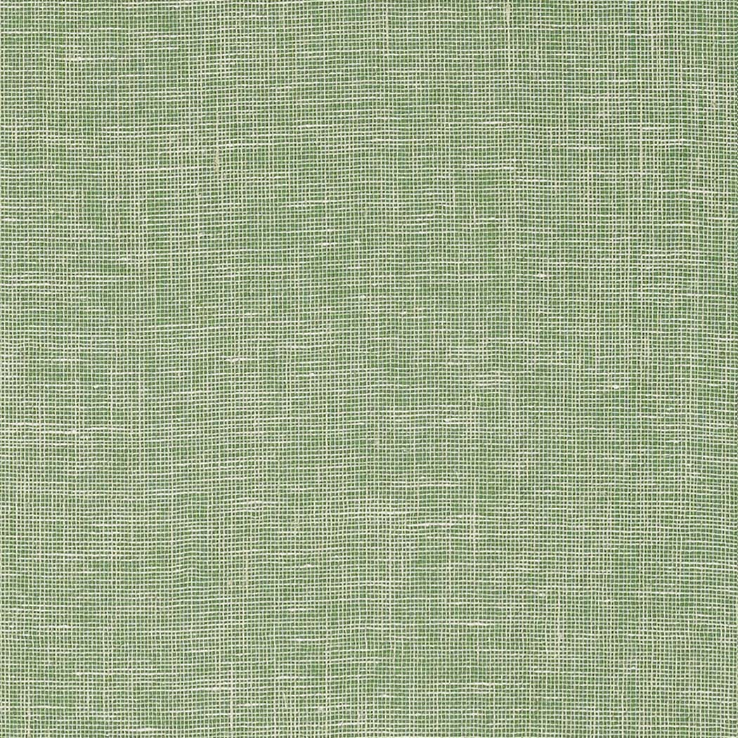 Villa Garden Texture