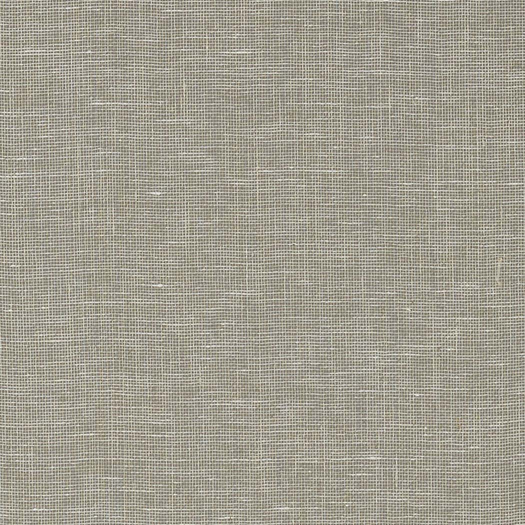 Villa Garden Texture