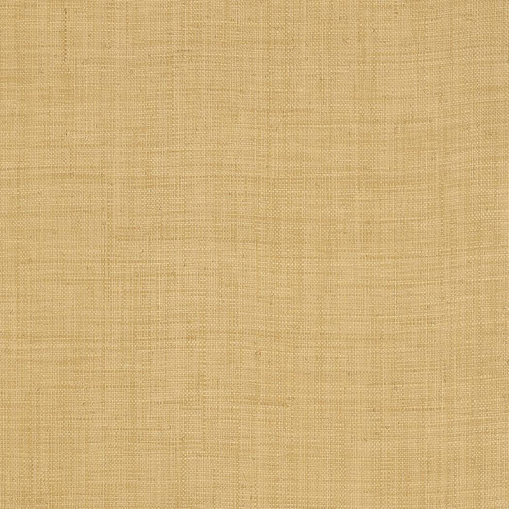 Carolina Raffia