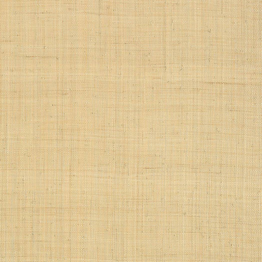 Carolina Raffia