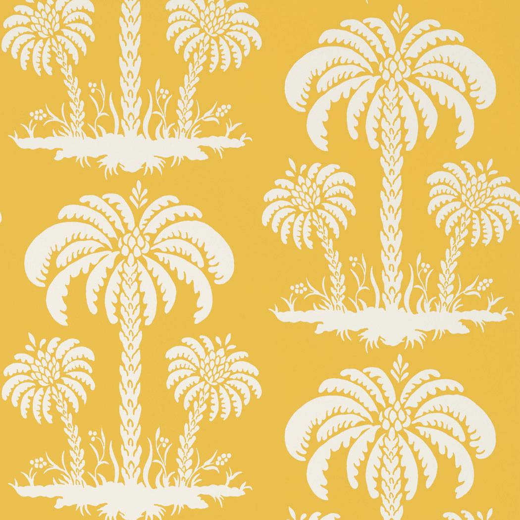 Palm Island