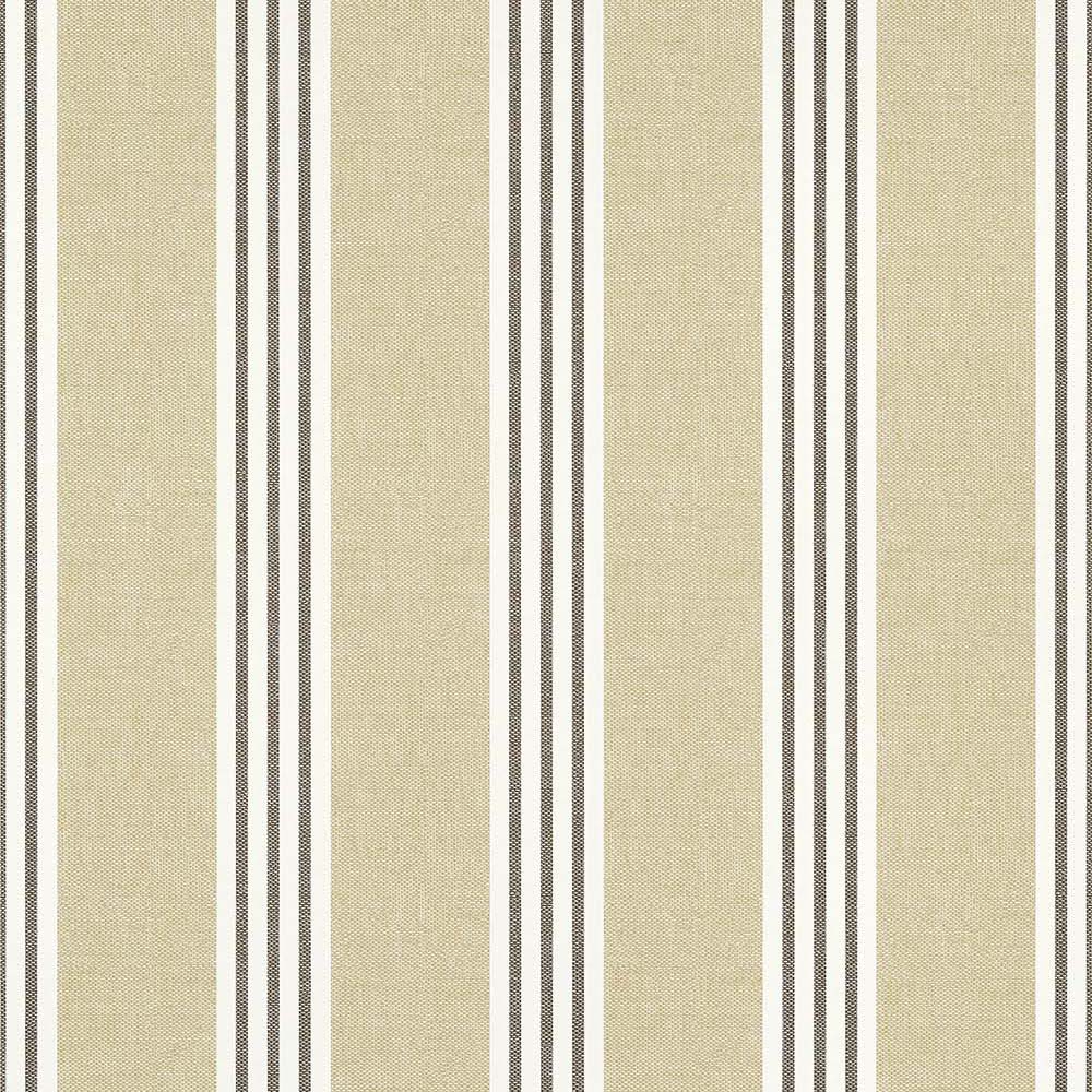 Canvas Stripe