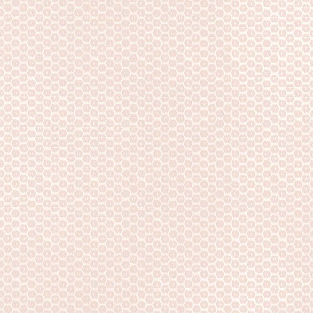 Akari
