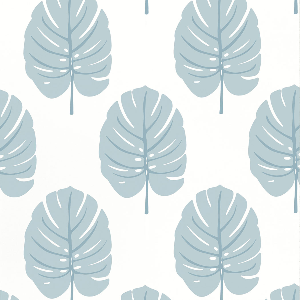 Monstera