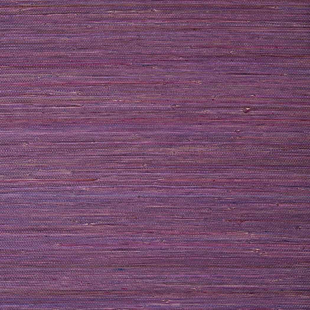 Raffia Palm
