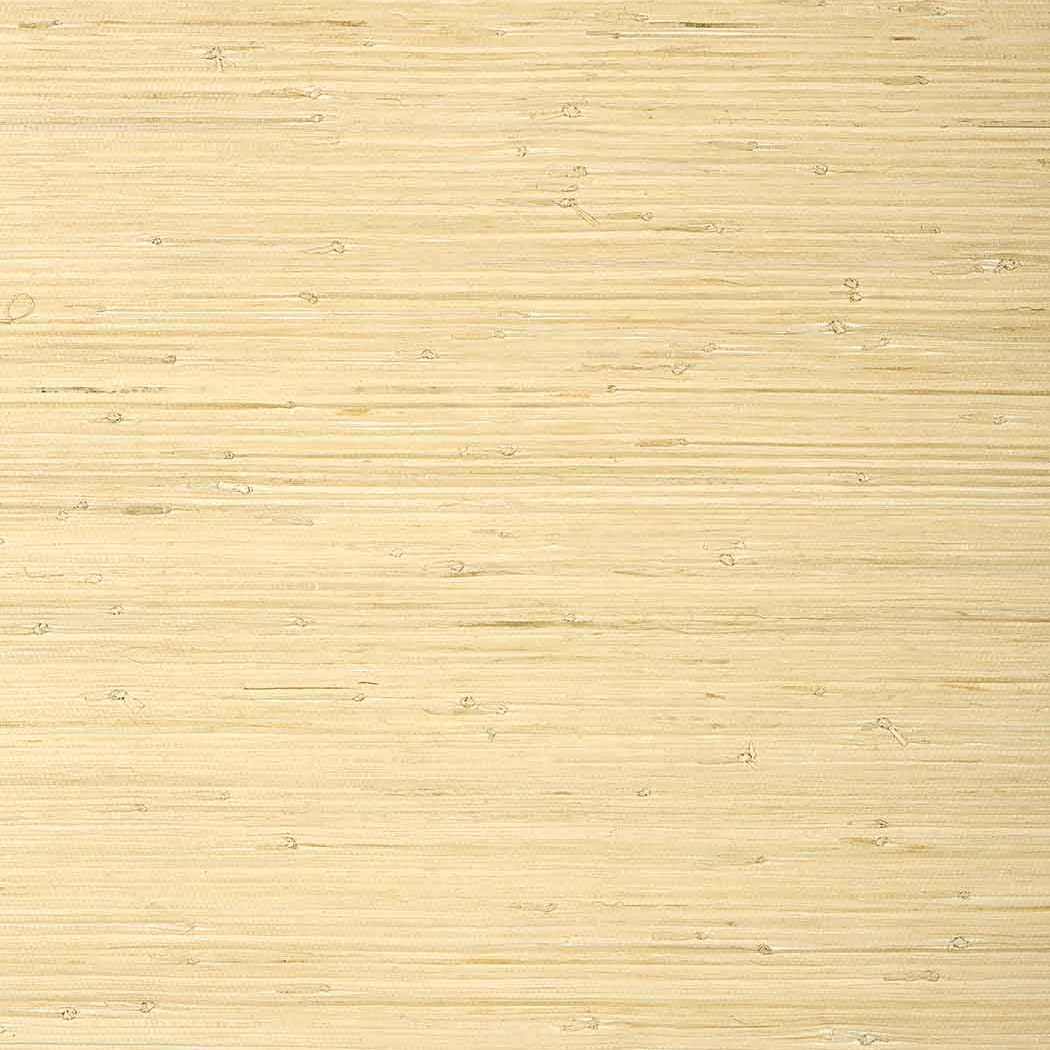 Raffia Palm
