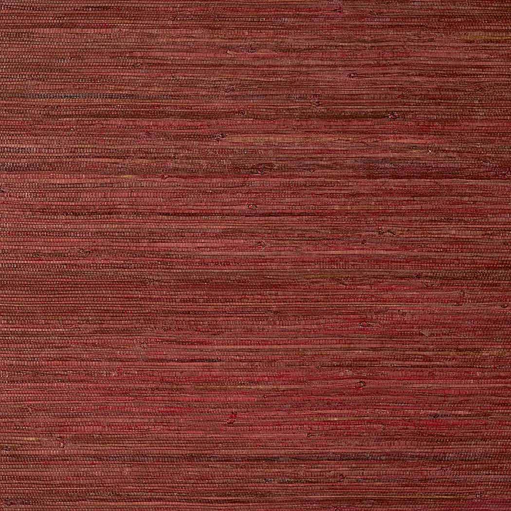 Raffia Palm