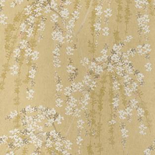 Weeping Blossom