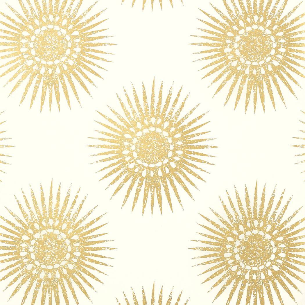 Bahia