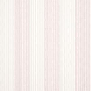 Evan Stripe