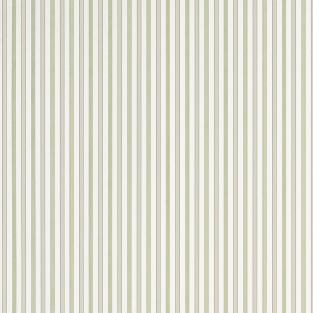 Conner Stripe