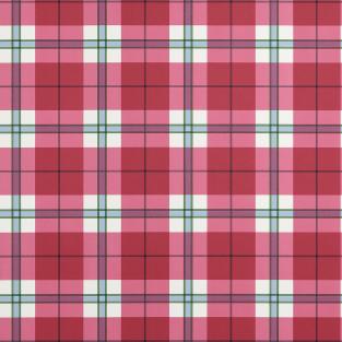 Douglas Plaid