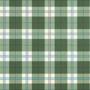 Douglas Plaid