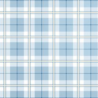 Douglas Plaid