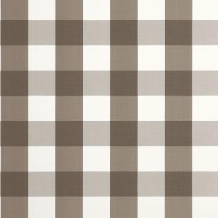 Buffalo Check