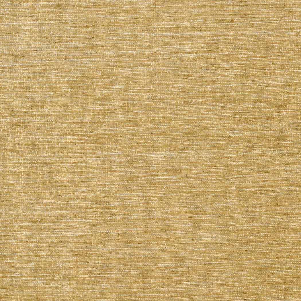 Arrowroot