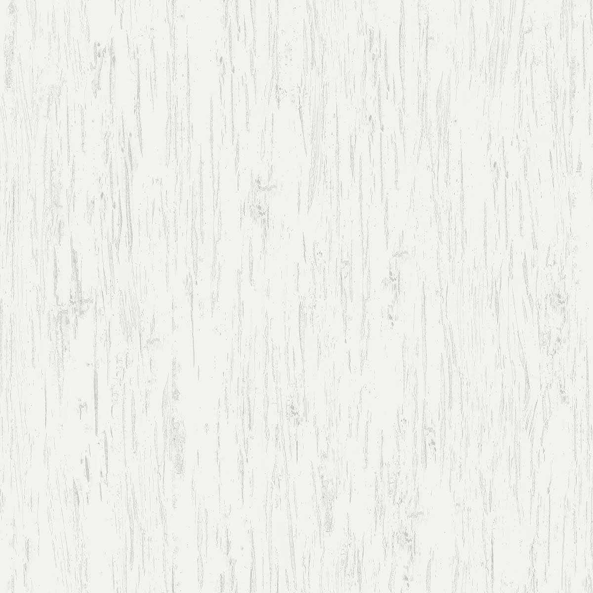 Alaska Birch Texture