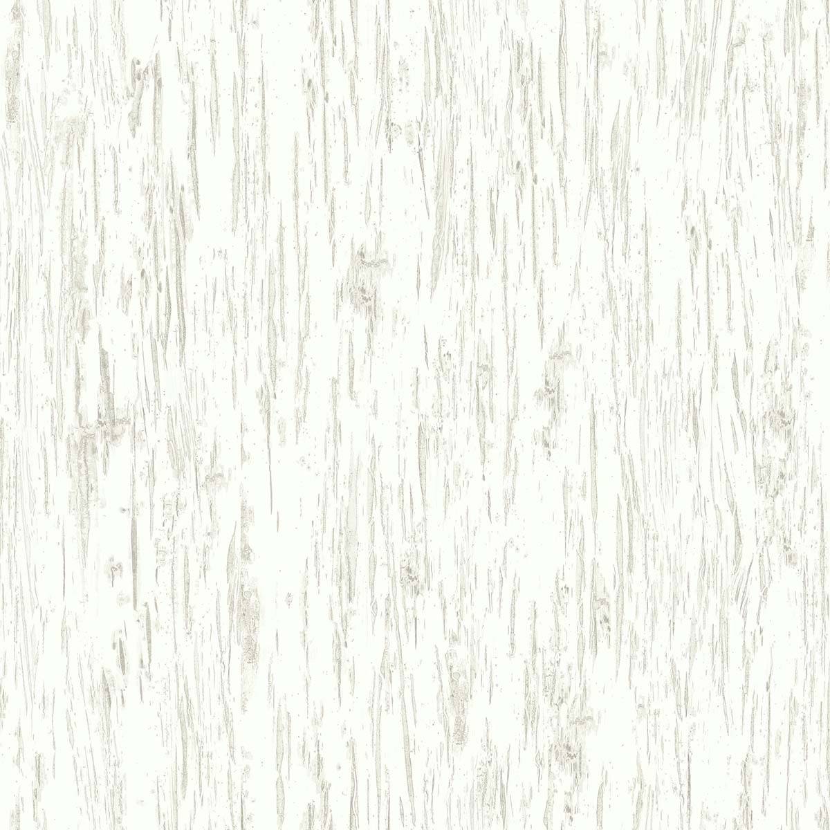 Alaska Birch Texture