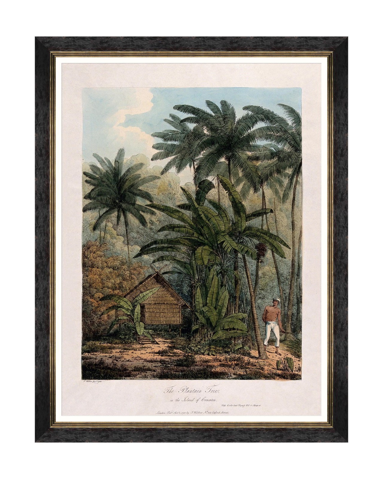 images/productimages/small/trees-of-krakatoa-the-plantain-tree-framed-art-60x80cm-fa13201.jpg