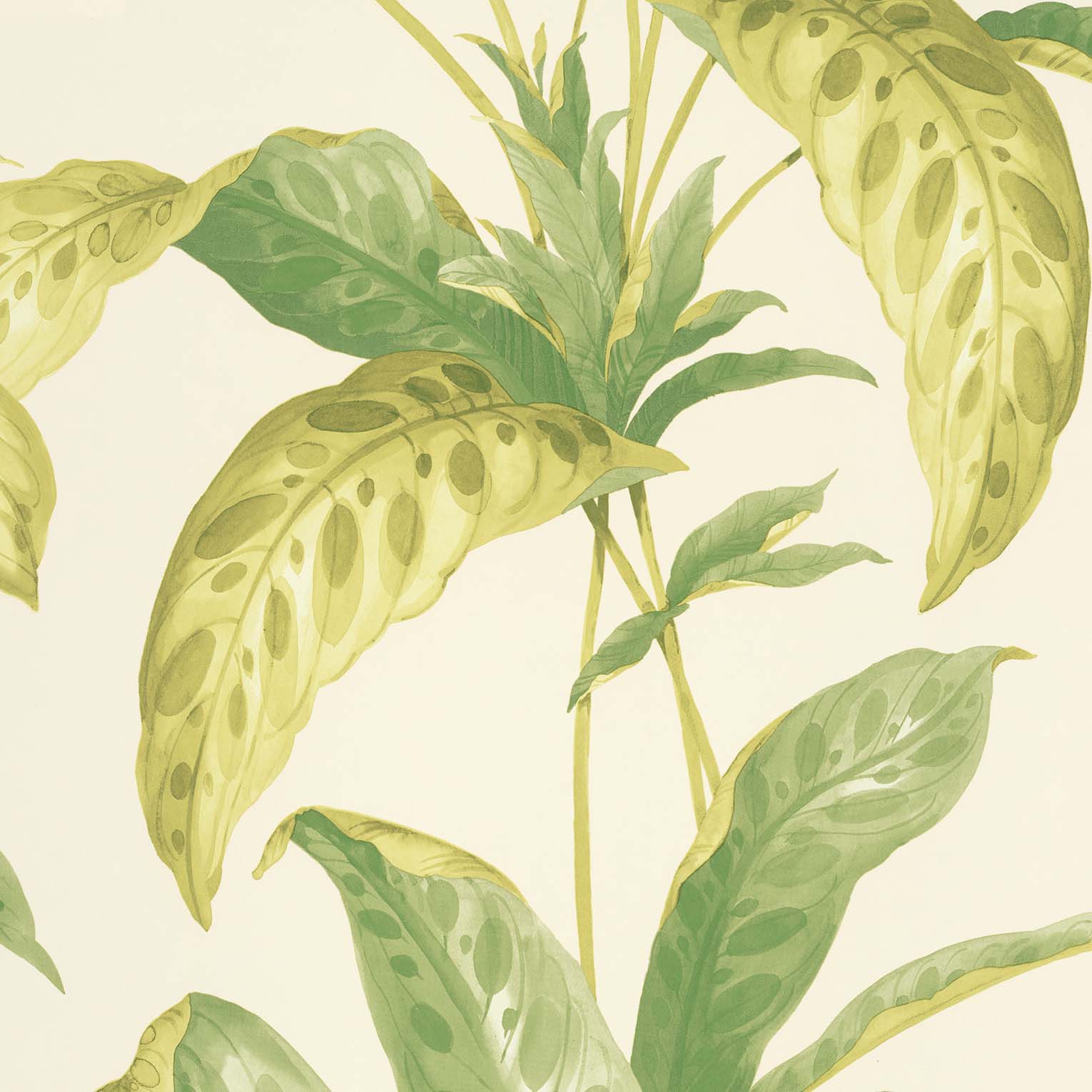 images/productimages/small/tropicane-chelsea-green-ii-1700x1530.jpg